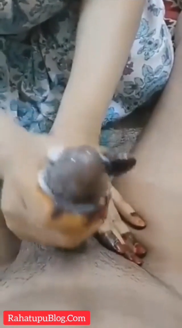 Porn Picture